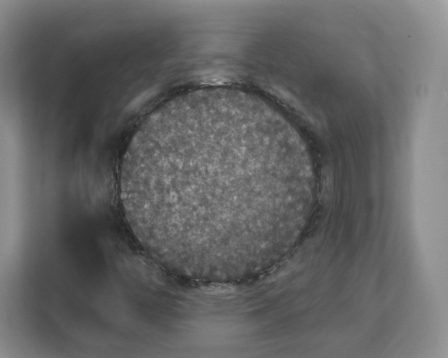 X0000111591446200907301416