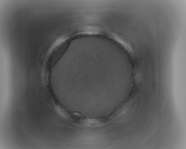 X0000111591448200907301416