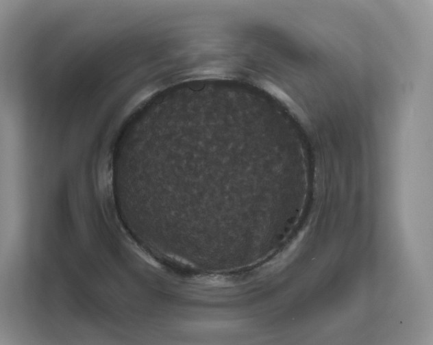 X0000111591450200907301416