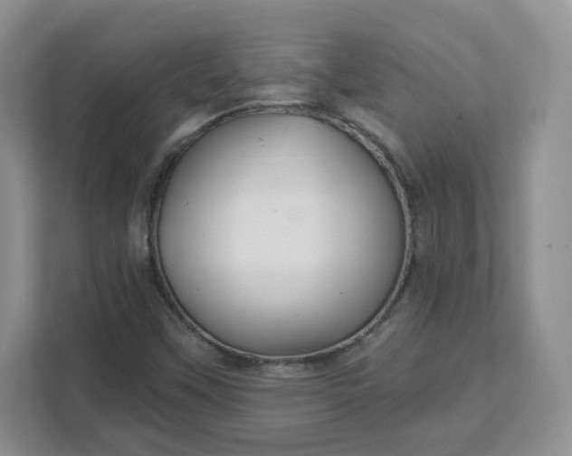 X0000111591451200907301416