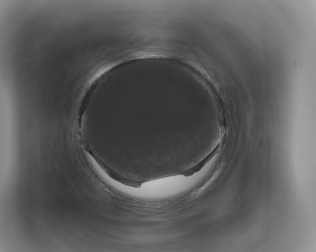 X0000111591453200907301416