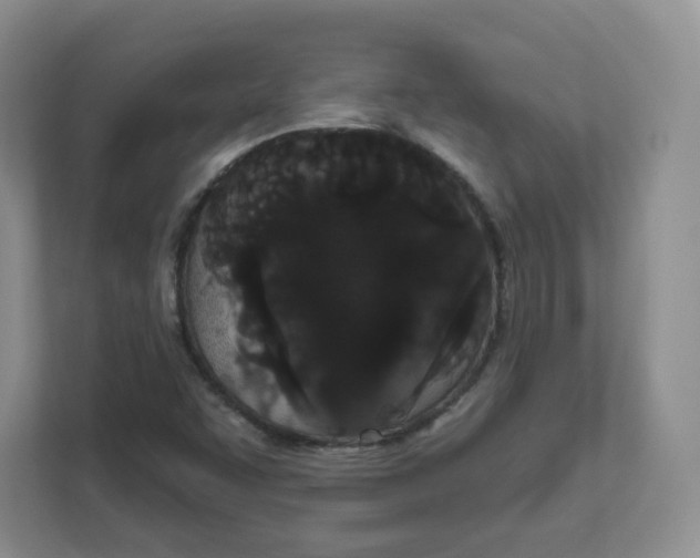 X0000111591455200907301416