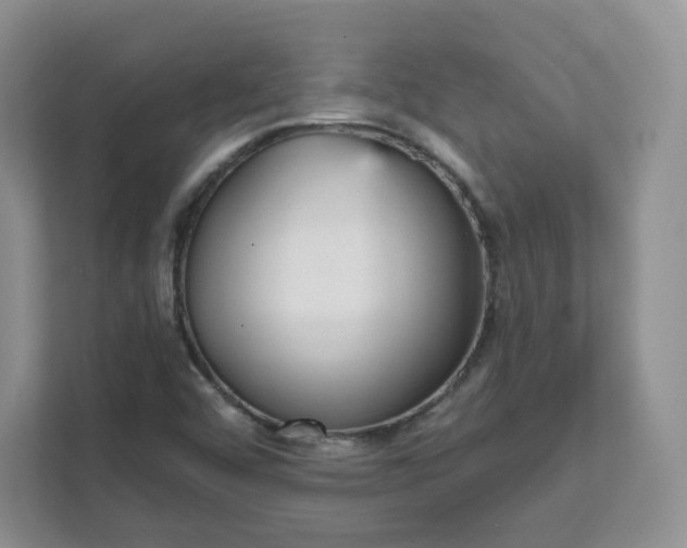 X0000111591456200907301416