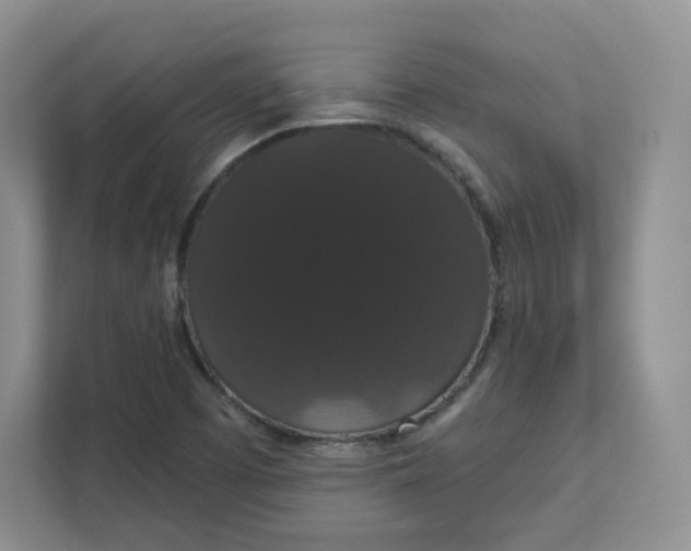 X0000111591457200907301416