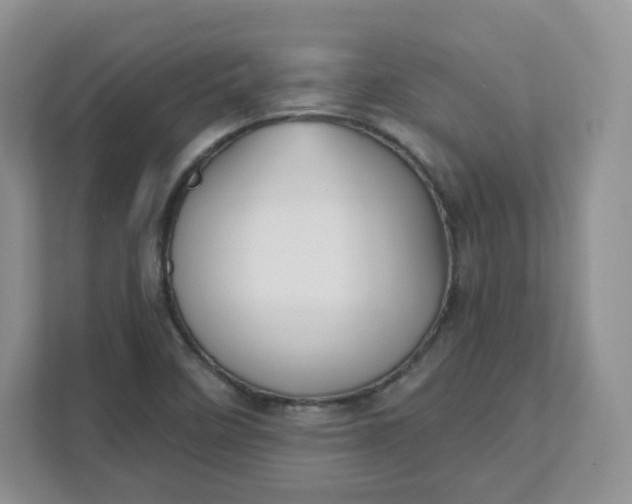 X0000111591458200907301416