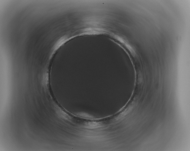 X0000111591459200907301416