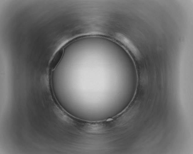 X0000111591460200907301416