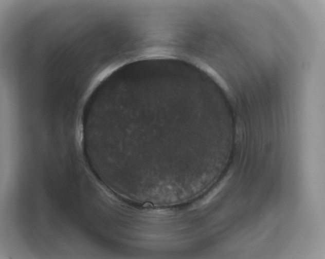 X0000111591461200907301416