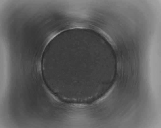 X0000111591465200907301416