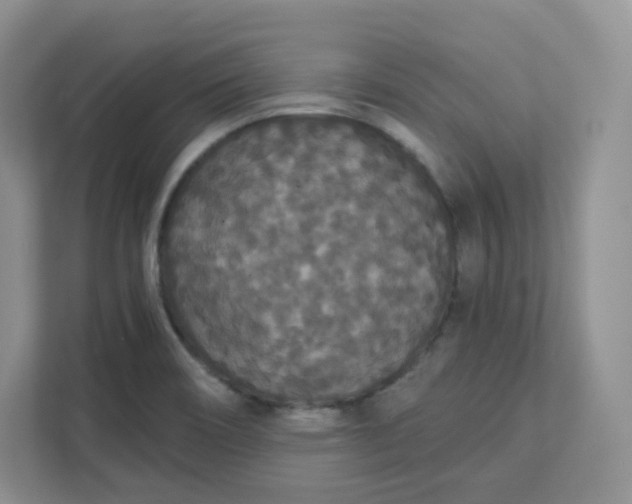 X0000111591466200907301416