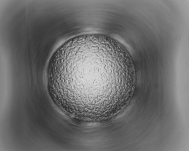 X0000111591467200907301416