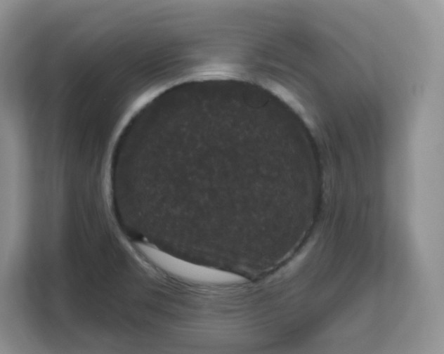 X0000111591469200907301416