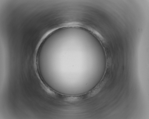 X0000111591470200907301416