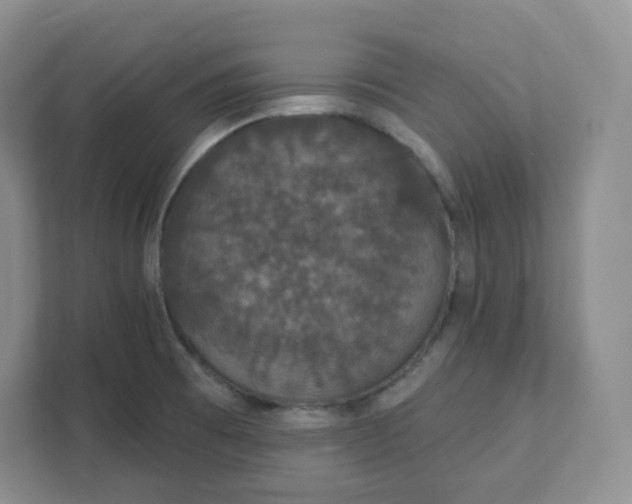 X0000111591473200907301416