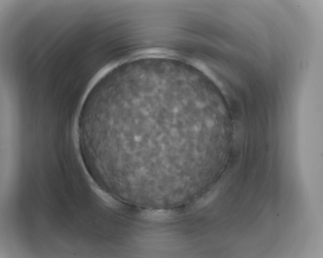 X0000111591474200907301416