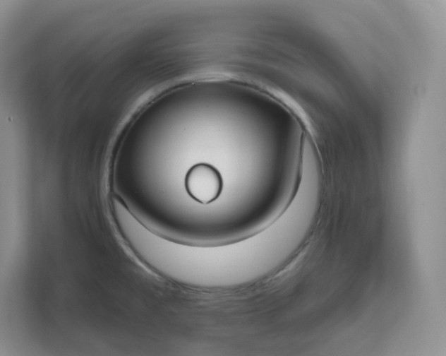 X0000111591477200907301416