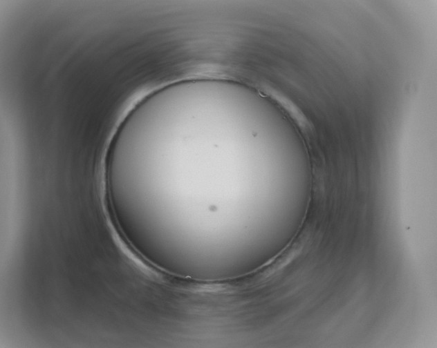 X0000111591479200907301416