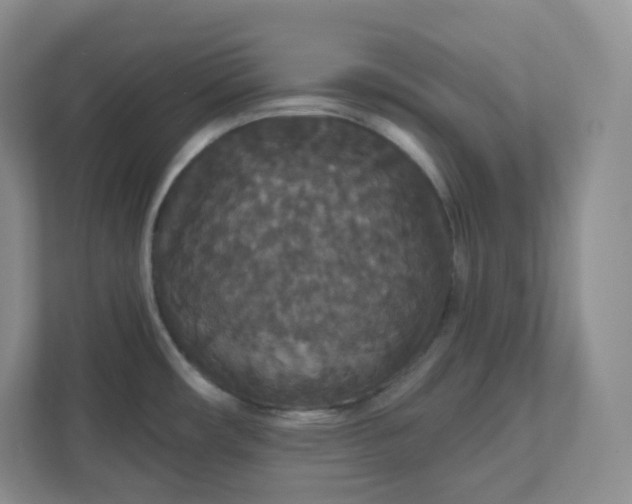 X0000111591482200907301416