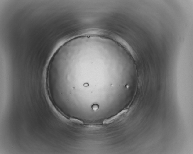 X0000111591483200907301416