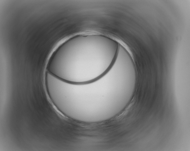 X0000111591485200907301416