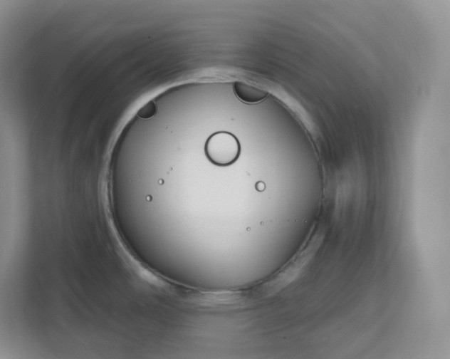 X0000111591486200907301416