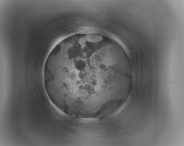 X0000111591487200907301416