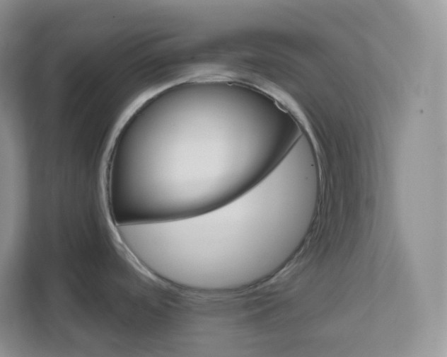 X0000111591488200907301416