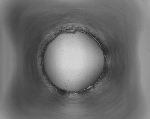 X0000111591489200907301415