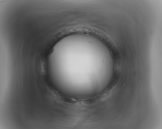 X0000111591490200907301415