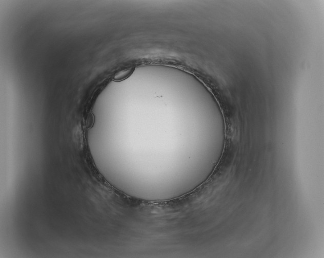 X0000111591493200907301415