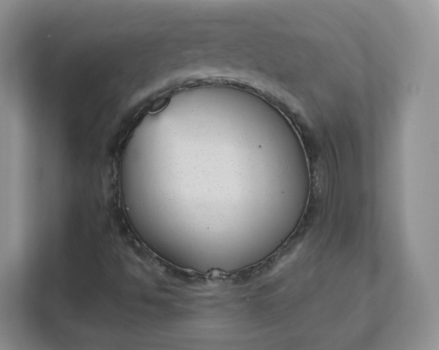 X0000111591494200907301415