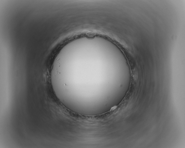 X0000111591495200907301415