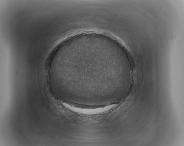 X0000111591496200907301415