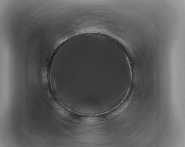 X0000111591497200907301415