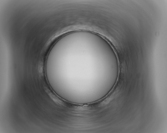 X0000111591499200907301415