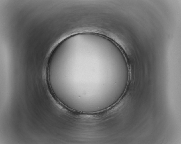 X0000111591500200907301415