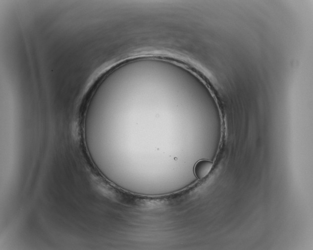 X0000111591501200907301415