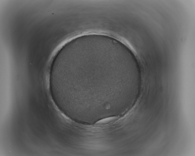 X0000111591504200907301415