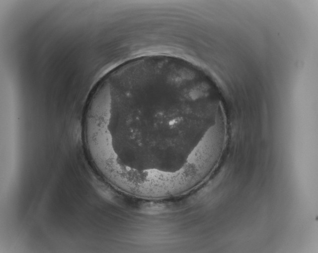 X0000111591505200907301415