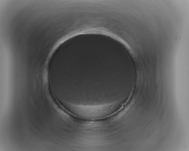 X0000111591506200907301415