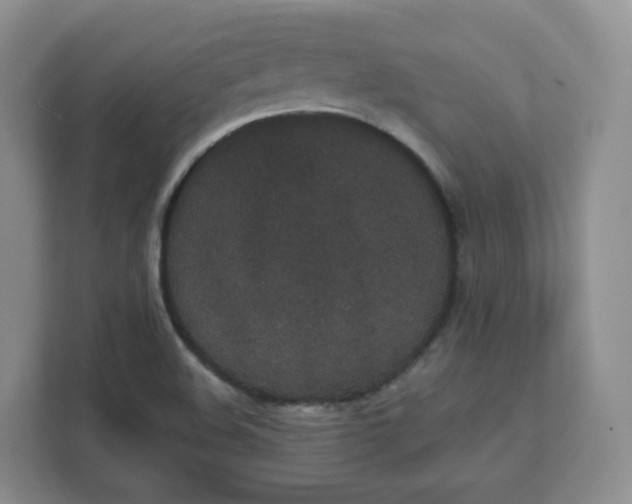 X0000111591508200907301415