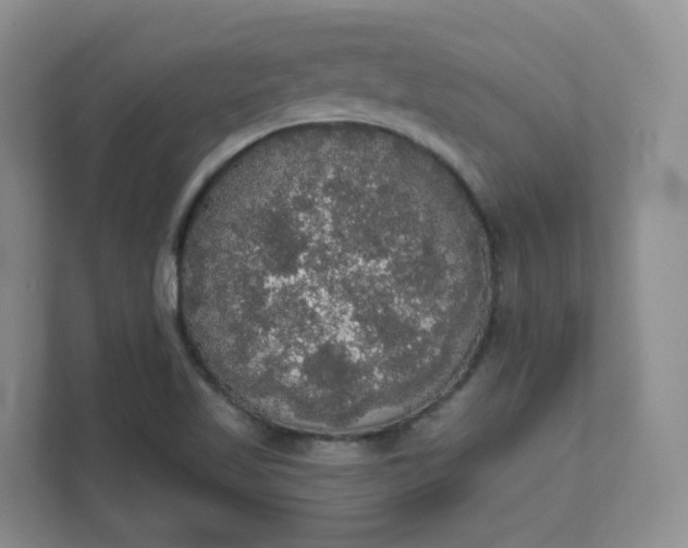 X0000111591509200907301415