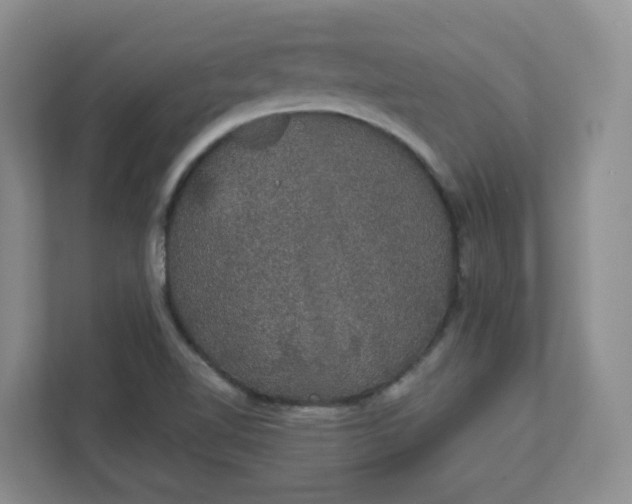 X0000111591510200907301415