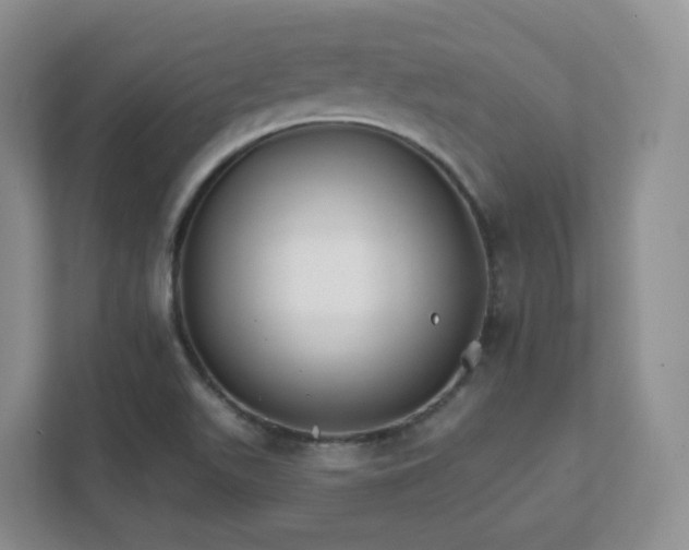 X0000111591511200907301415