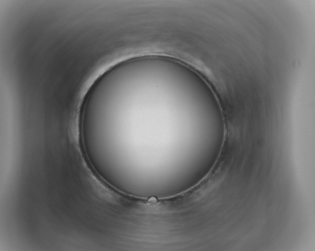 X0000111591512200907301415