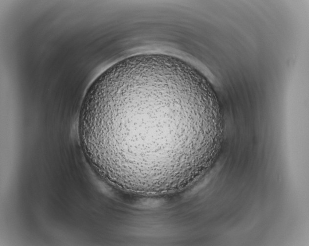 X0000111591513200907301415