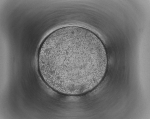 X0000111591514200907301415