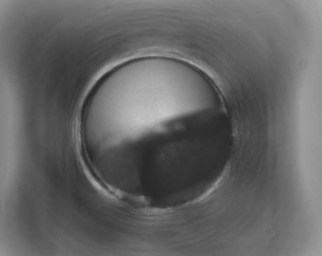 X0000111591515200907301415