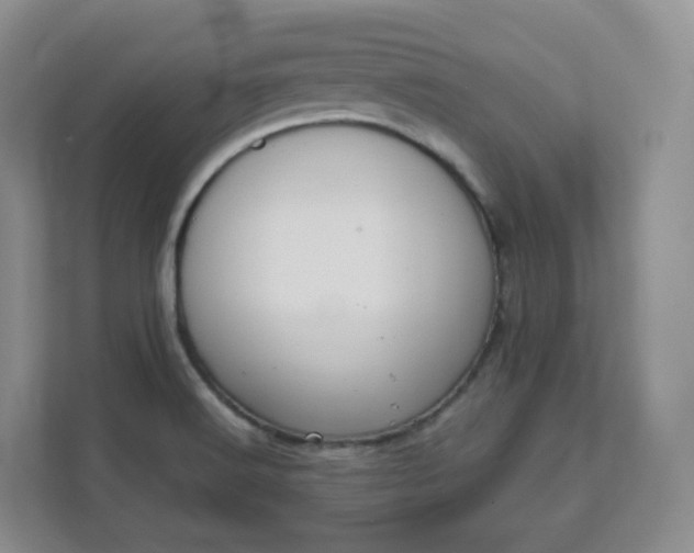 X0000111591516200907301415