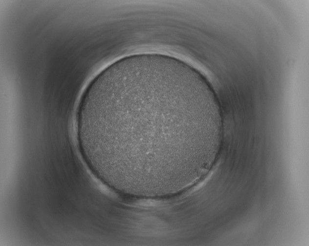 X0000111591517200907301415